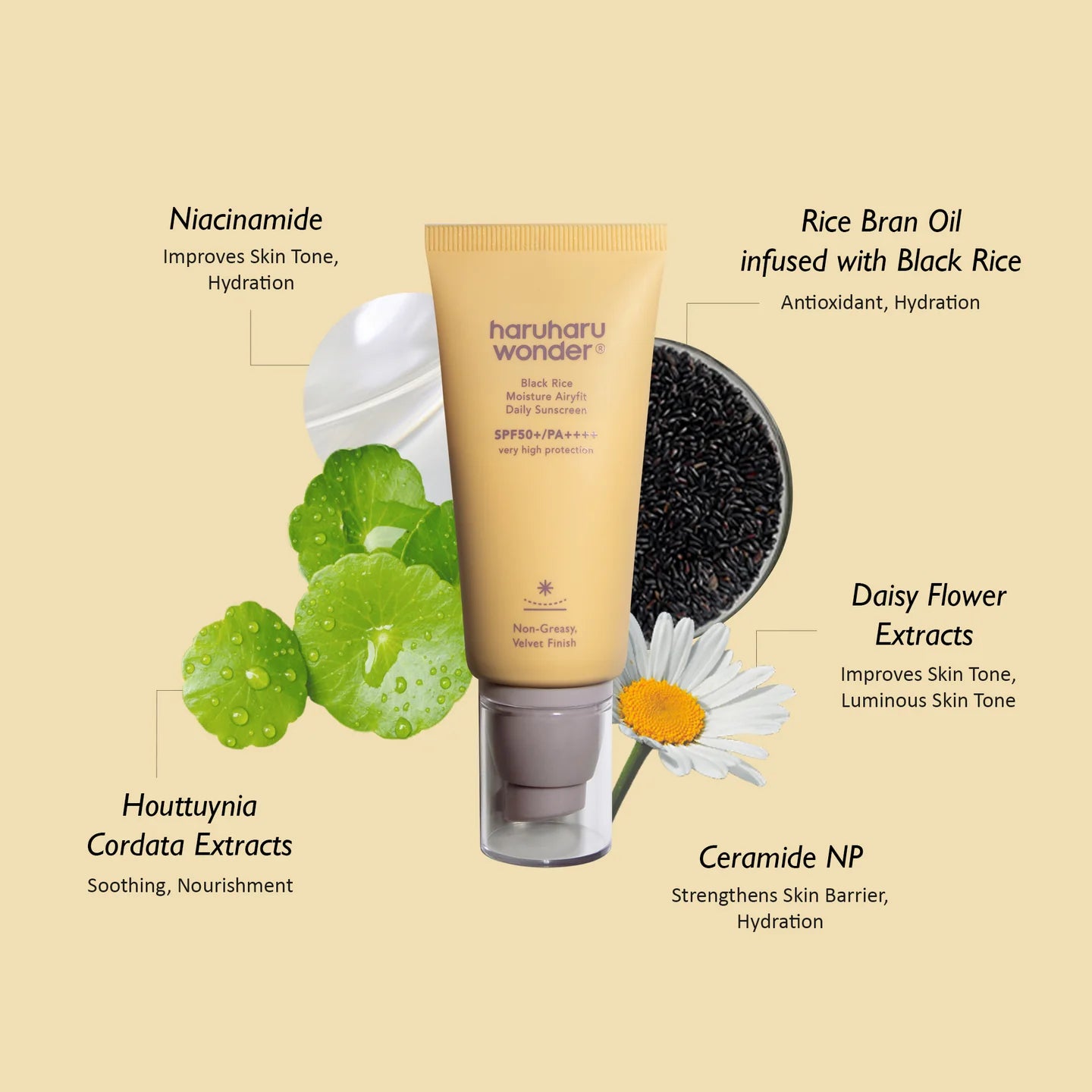 Black Rice Moisture Airy Daily Sunscreen SPF50+ PA++++ (55ml)